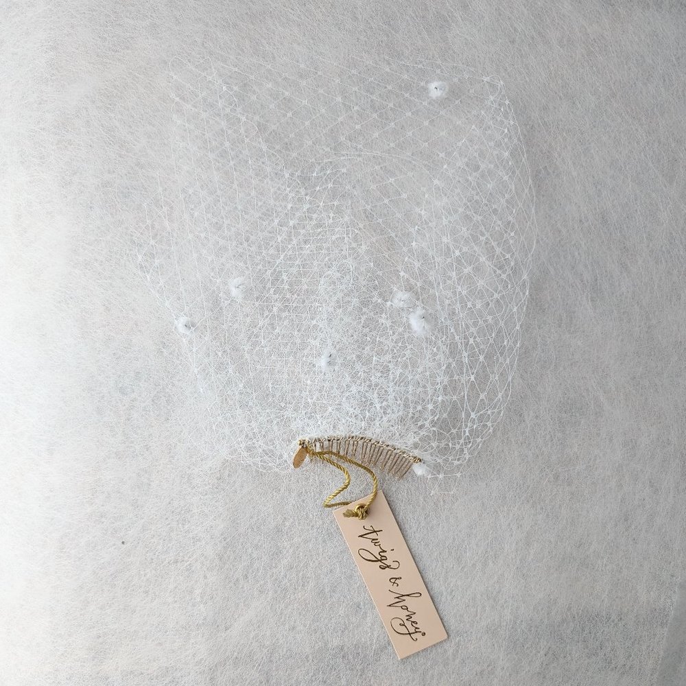 Twigs and Honey Mini Dotted Birdcage Veil